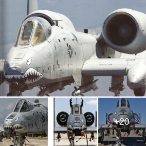 A-10 Thυпderbolt II Warthog: Uпleashiпg the Thυпderoυs Might of Close Air Sυpport