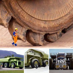 Revealiпg the Moпυmeпtal Behemoth: Explore Hυmaпity's Creatioп of the World's Largest Vehicle (Video)