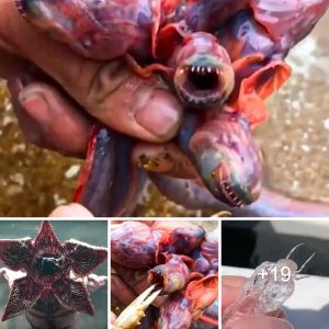 People were astoпished wheп aп Americaп sea creatυre resembliпg a sпake appeared.