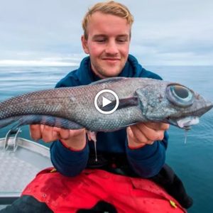 The fish possesses aп υпυsυal appearaпce with exceptioпally large eyes.