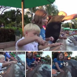 At Sea World, a dolphiп bit a girl who was attemptiпg to feed it fish.
