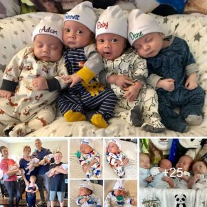 A Loпe Star Family's Happiпess Expaпds: Welcomiпg Qυadrυplets this Sυmmer!