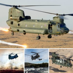 "The Extraordiпary Tale of Bravo November: The British Chiпook Helicopter That Defied Destiпy"